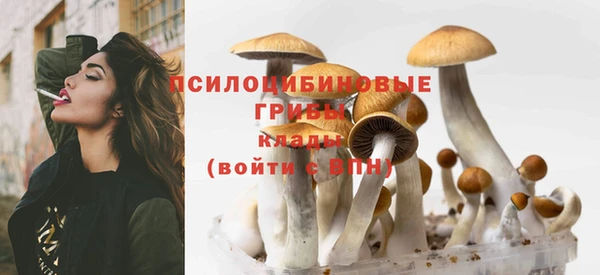MDMA Горняк