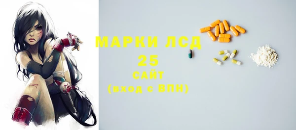 гидропоника Горнозаводск