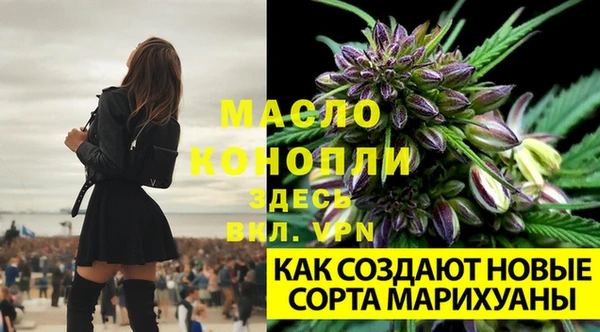гидропоника Горнозаводск