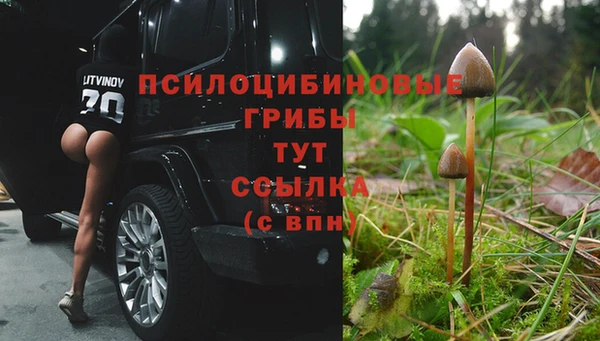 гидропоника Горнозаводск