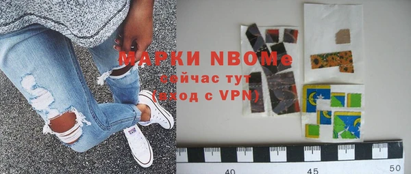 гидра Вяземский