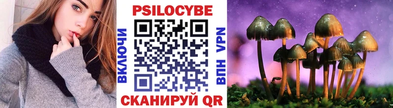 Купить закладки  Николаевск-на-Амуре  Галлюциногенные грибы Psilocybine cubensis 